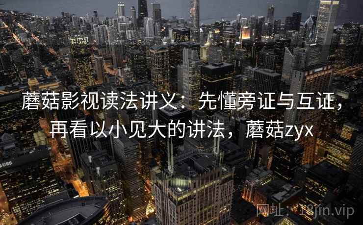 蘑菇影视读法讲义：先懂旁证与互证，再看以小见大的讲法，蘑菇zyx