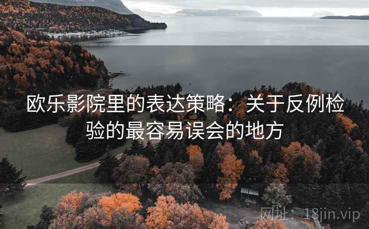 欧乐影院里的表达策略：关于反例检验的最容易误会的地方